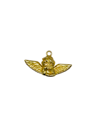 Angel Charm