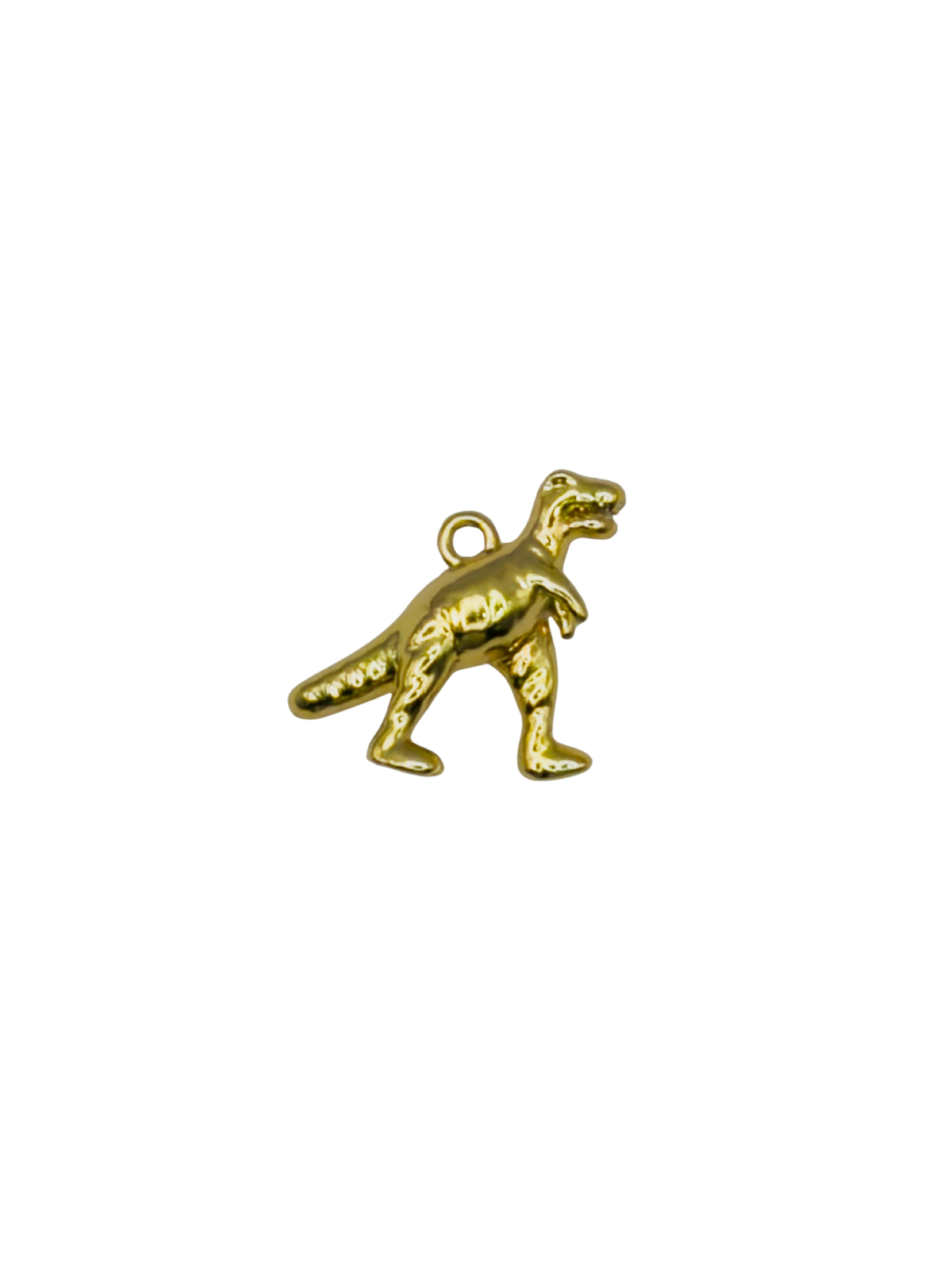 T-Rex Charm