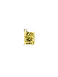 Passport Charm