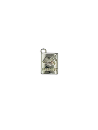 Passport Charm