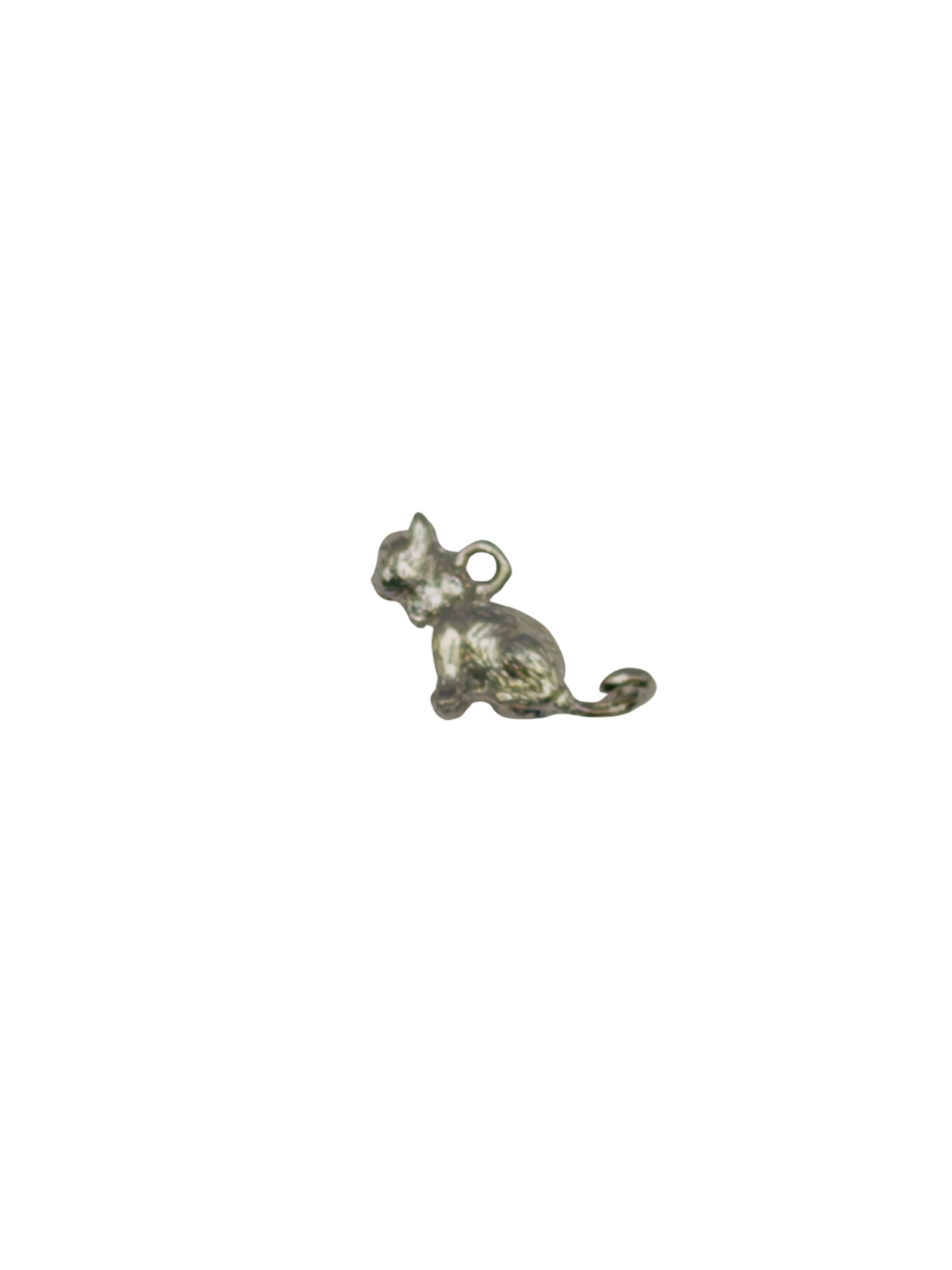 Cat Charm