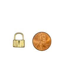 Lock Charm