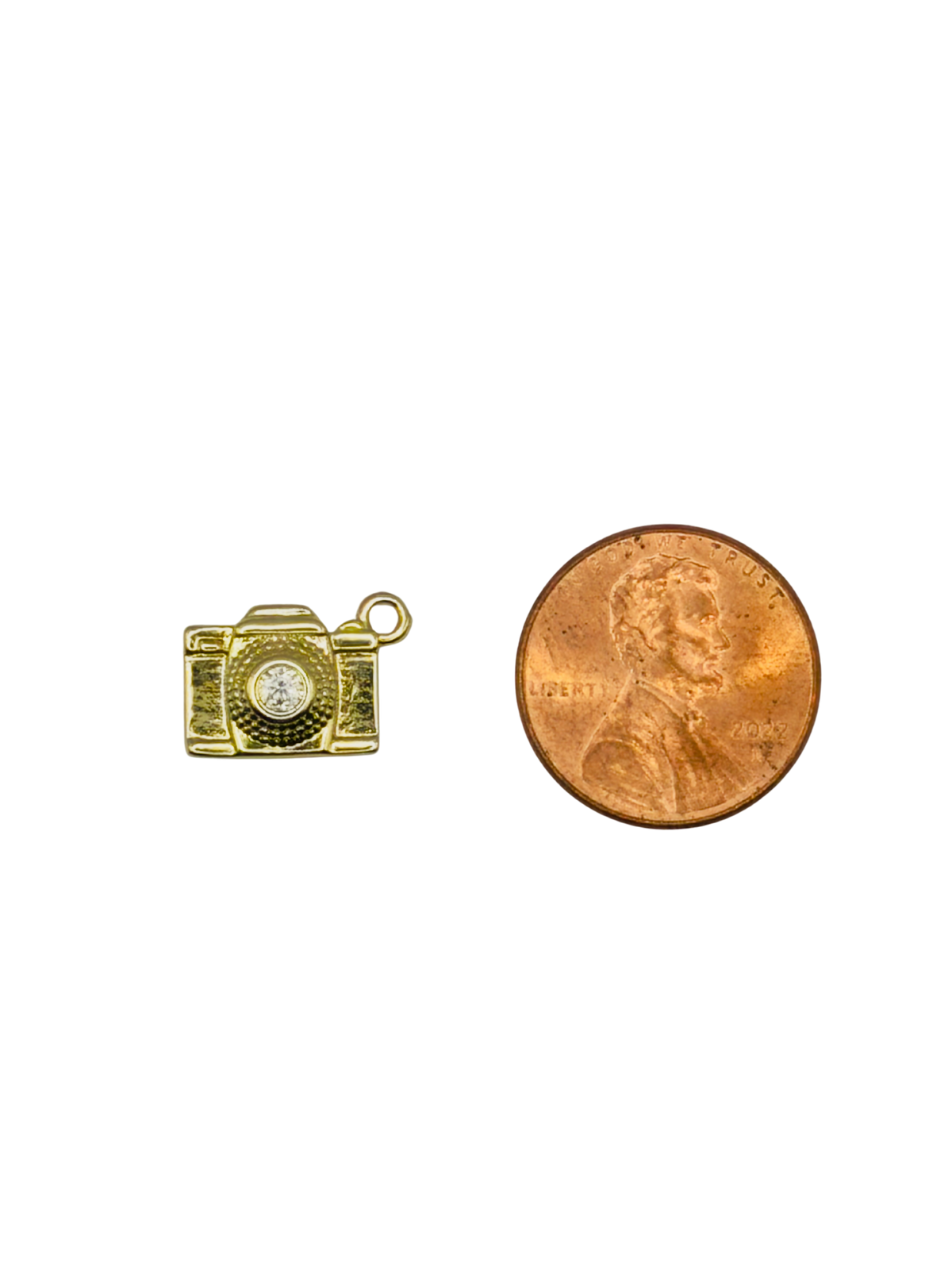 Camera Charm